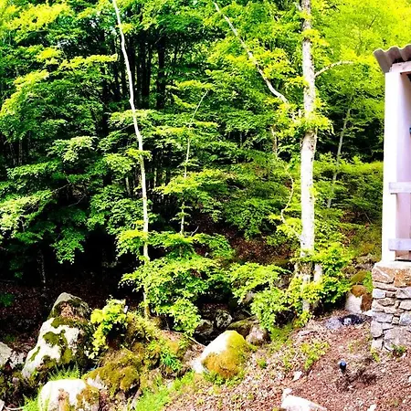 Alpehytte Paisible Dans Les Cevennes Avec Sauna Prive *